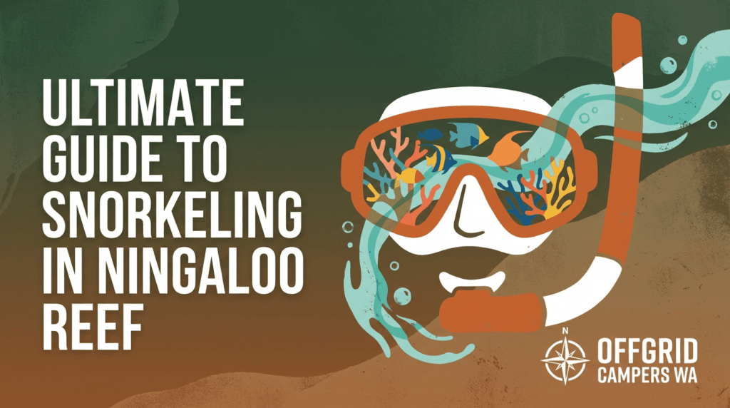 ultimate guide to snorkeling in ningaloo reef