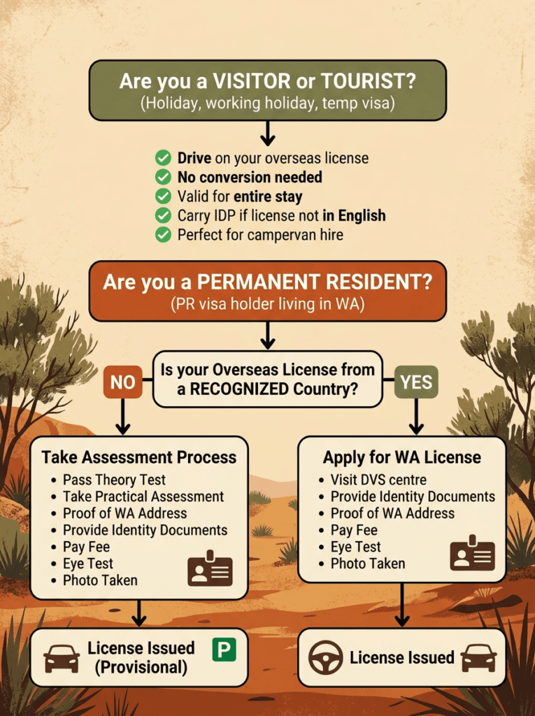 professional decision tree infographic for western 1775796977029