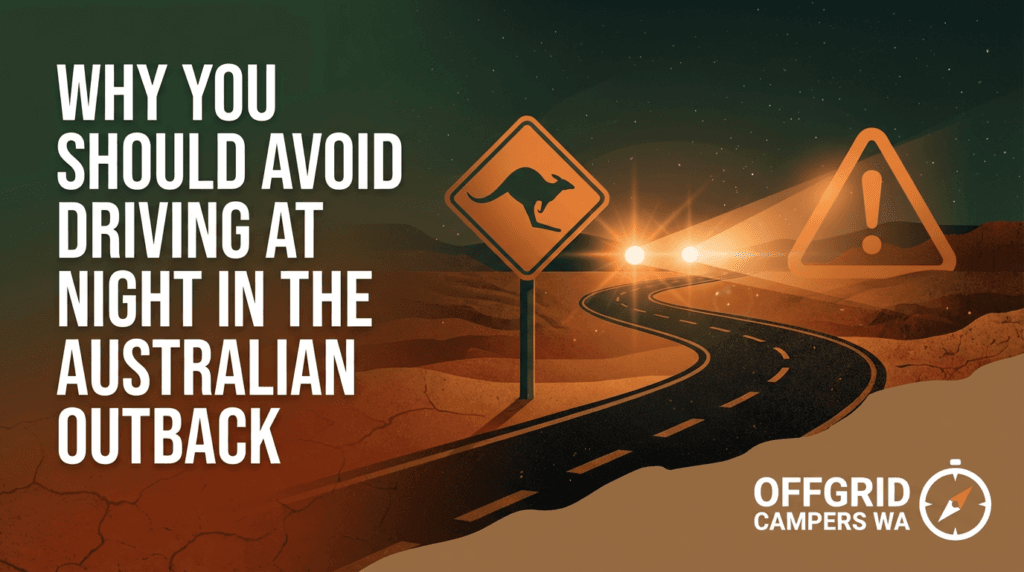 why you should avoid driving at night in the australian outback