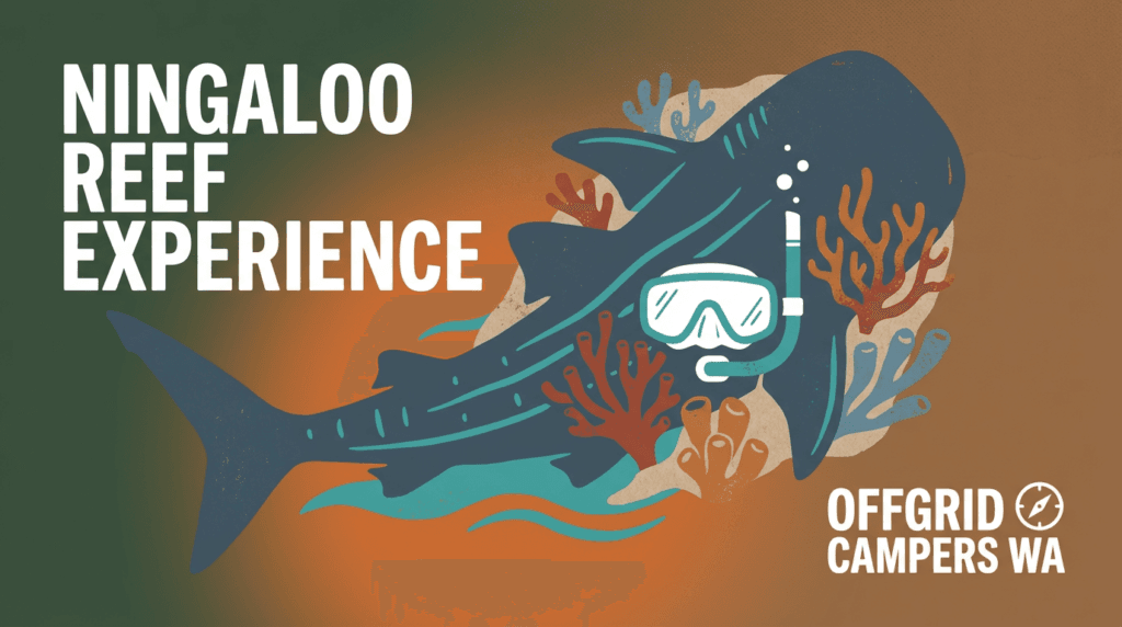 the ningaloo experience a cinematic journey into western australia's underwater paradise